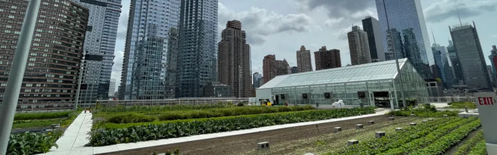 Your Guide to the Best Accommodations Near Javits Convention Center, NYC
