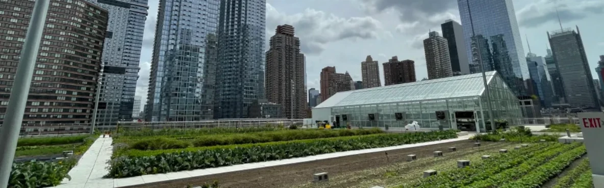 Your Guide to the Best Accommodations Near Javits Convention Center, NYC
