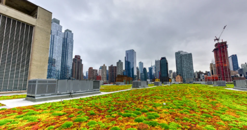 Best Hotels Near Javits Center for Business, Events & Sightseeing